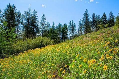 0 Whitebark Lane Winthrop WA 98862