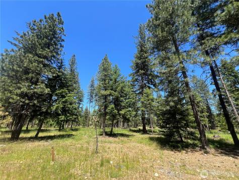 33 Domerie Park Loop Cle Elum WA 98922