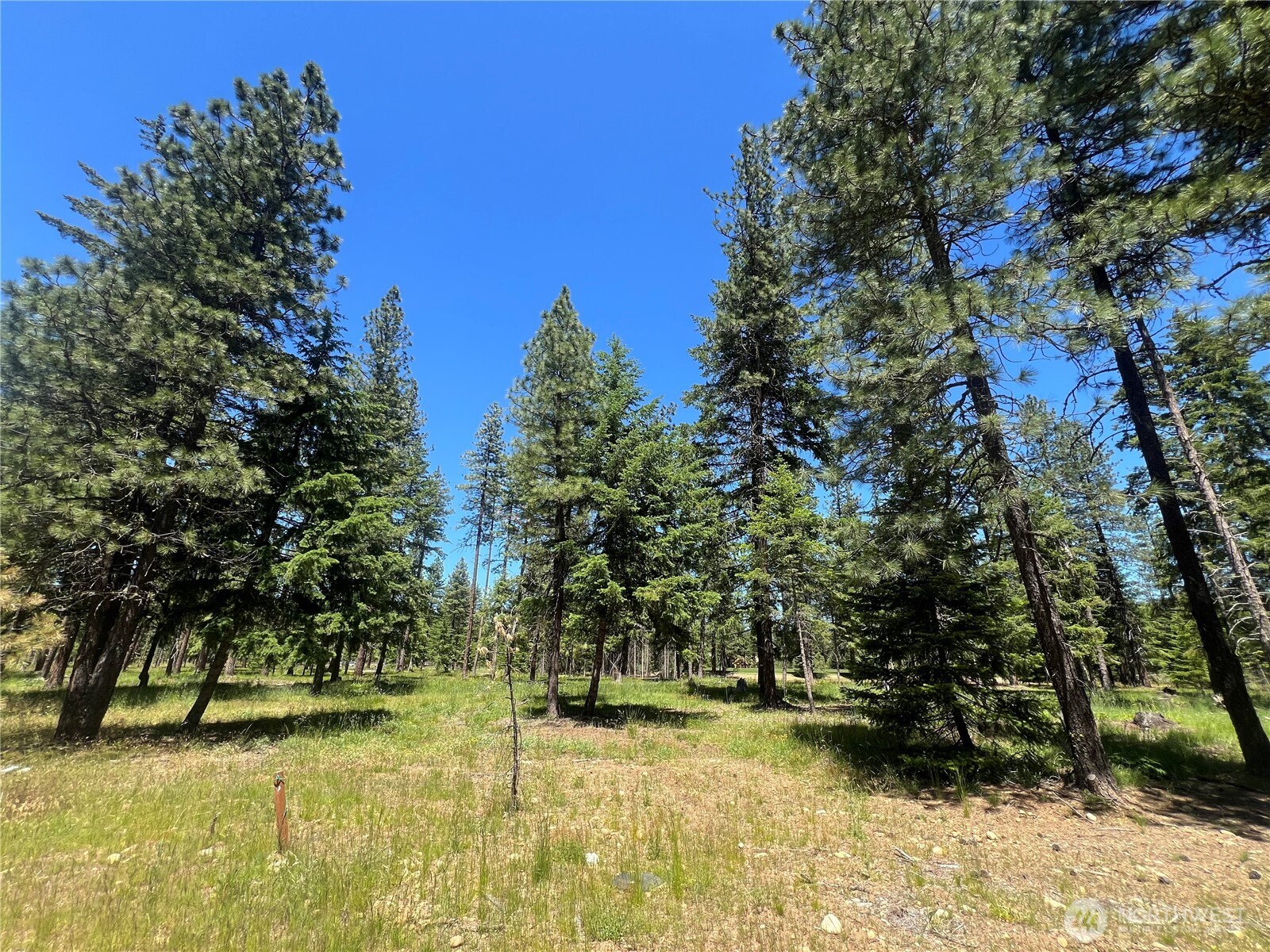 33 Domerie Park Loop Cle Elum WA 98922