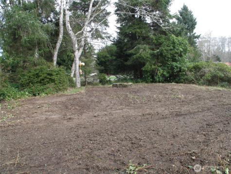 32317 Q Place Ocean Park WA 98640