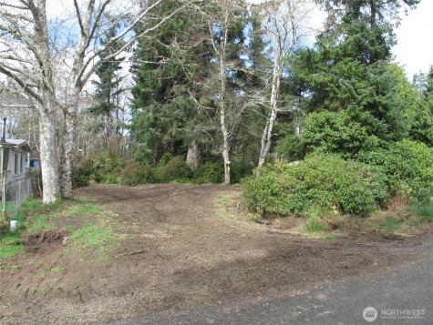 32317 Q Place Ocean Park WA 98640