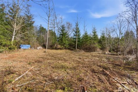 0 E Mclane Cove Drive Grapeview WA 98546