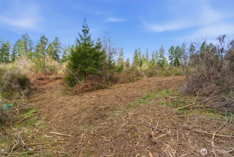 0 E Mclane Cove Drive Grapeview WA 98546