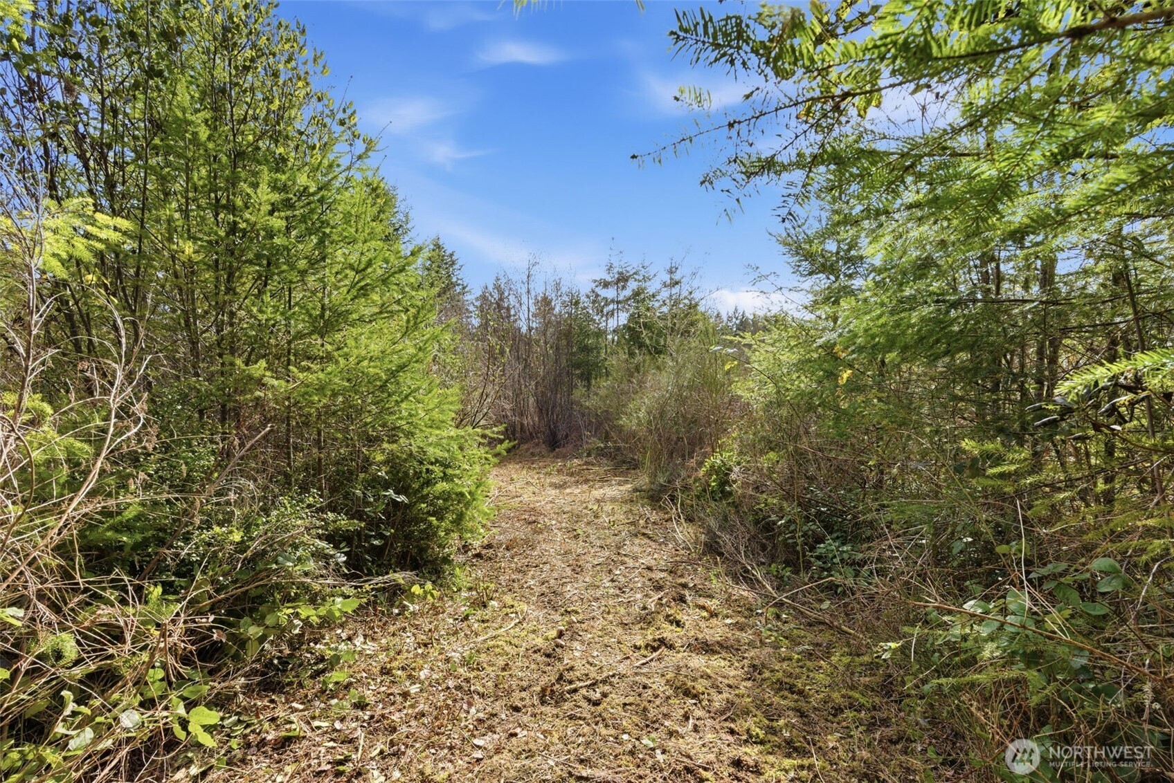 0 E Mclane Cove Drive Grapeview WA 98546