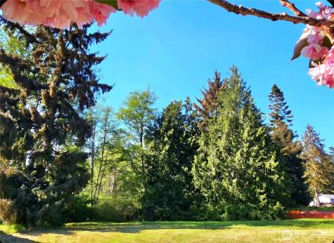 4994 Deception Circle Oak Harbor WA 98277