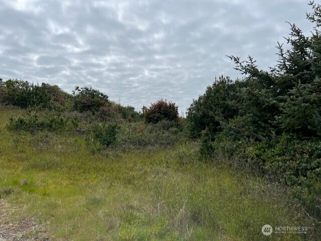30507 K Place Ocean Park WA 98640