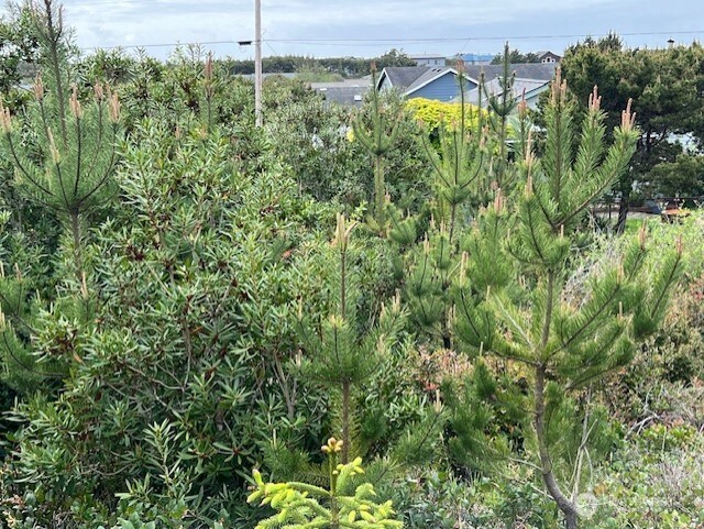 30507 K Place Ocean Park WA 98640