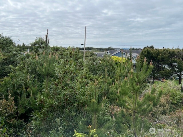 30507 K Place Ocean Park WA 98640