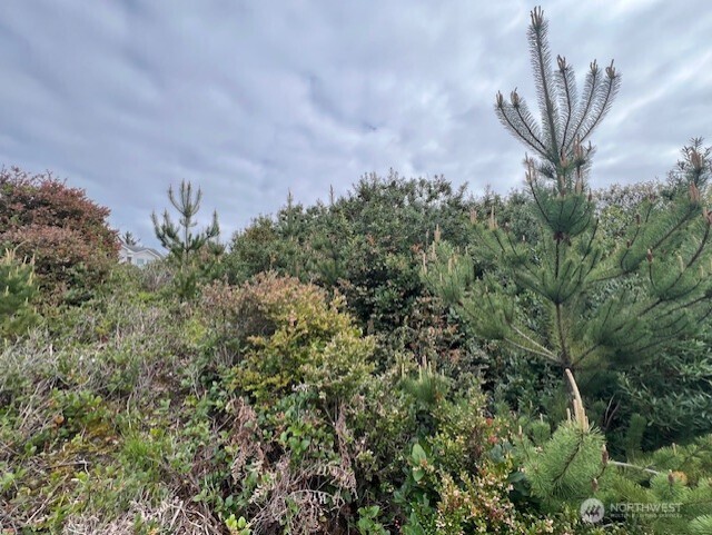 30507 K Place Ocean Park WA 98640
