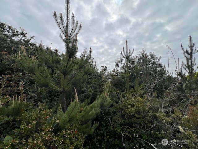 30507 K Place Ocean Park WA 98640