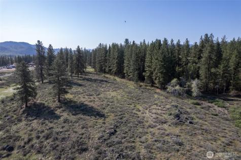 9 Cascadian Way Winthrop WA 98862