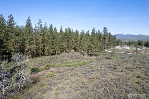 9 Cascadian Way Winthrop WA 98862