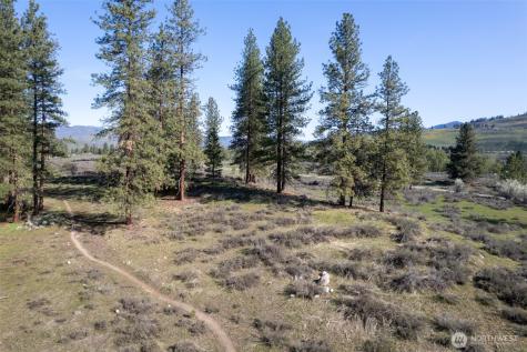 9 Cascadian Way Winthrop WA 98862