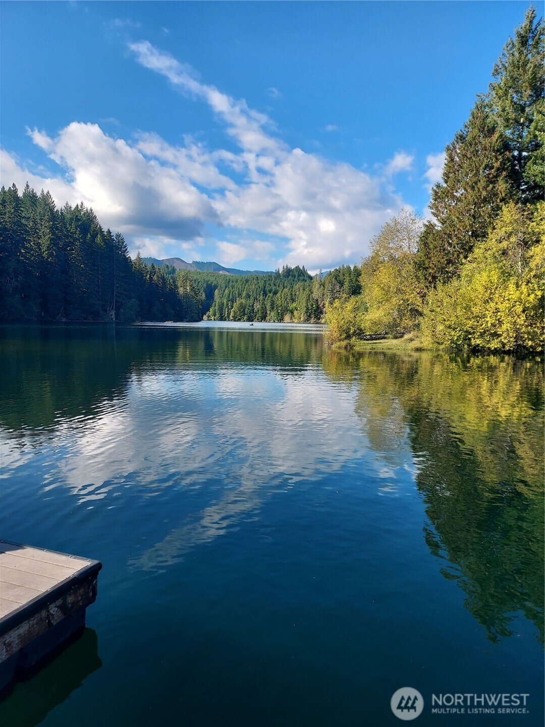 210 N Dow Creek Drive Hoodsport WA 98548