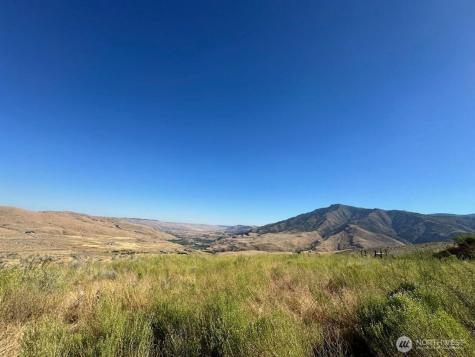 0 Curly Horse Drive Pateros WA 98846