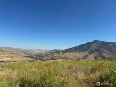 0 Curly Horse Drive Pateros WA 98846