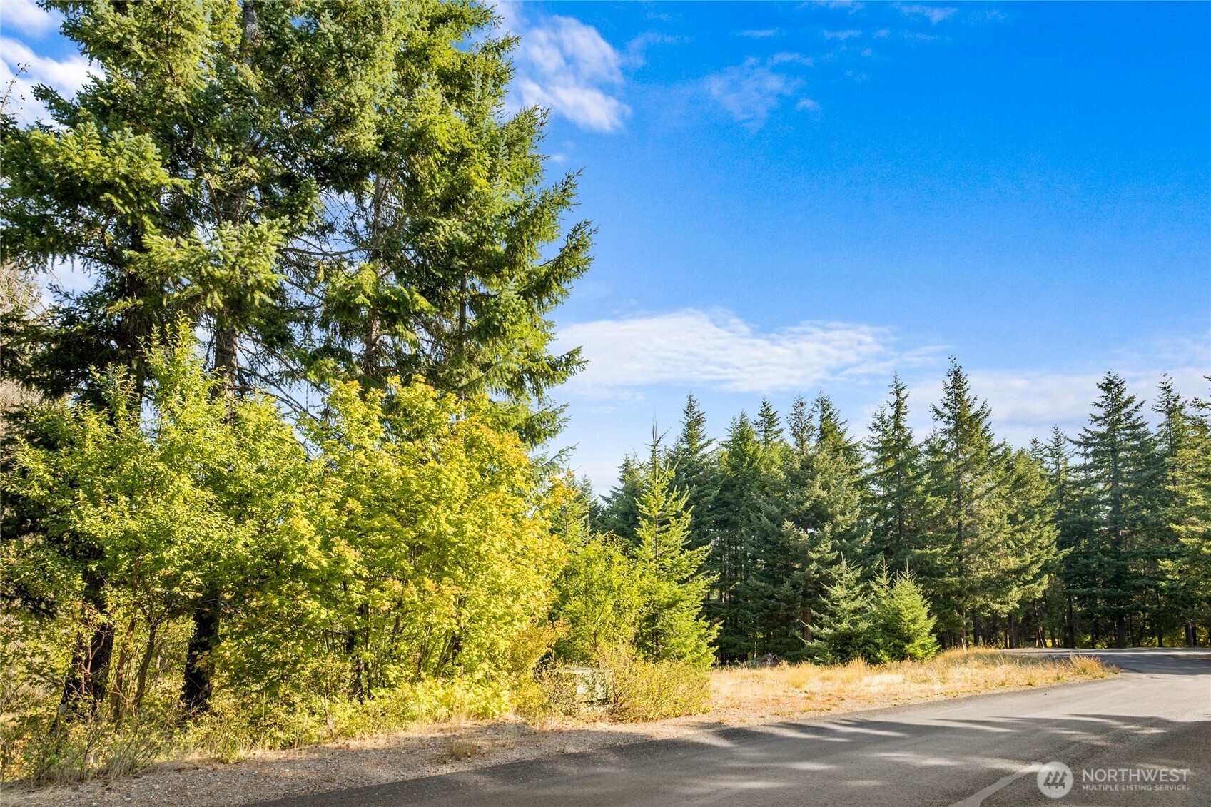321 Goat Creek Lane Cle Elum WA 98922