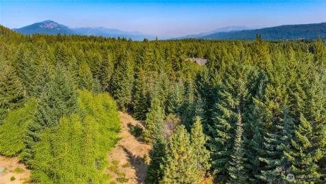 321 Goat Creek Lane Cle Elum WA 98922