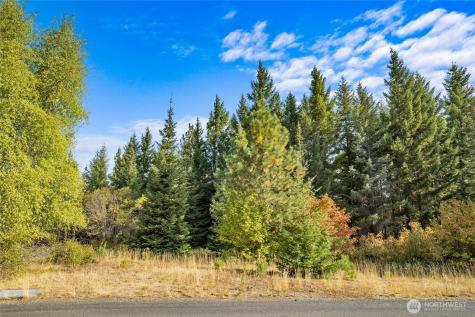 321 Goat Creek Lane Cle Elum WA 98922