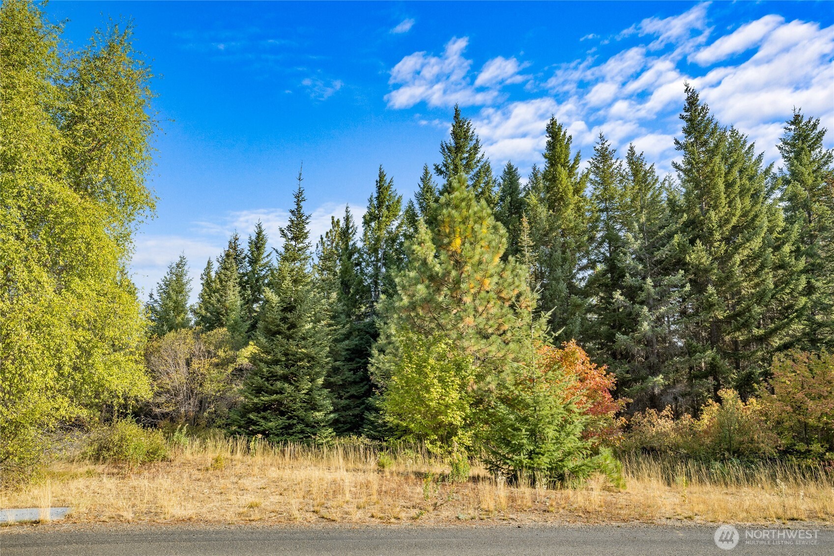 321 Goat Creek Lane Cle Elum WA 98922