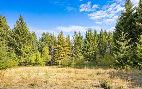 321 Goat Creek Lane Cle Elum WA 98922