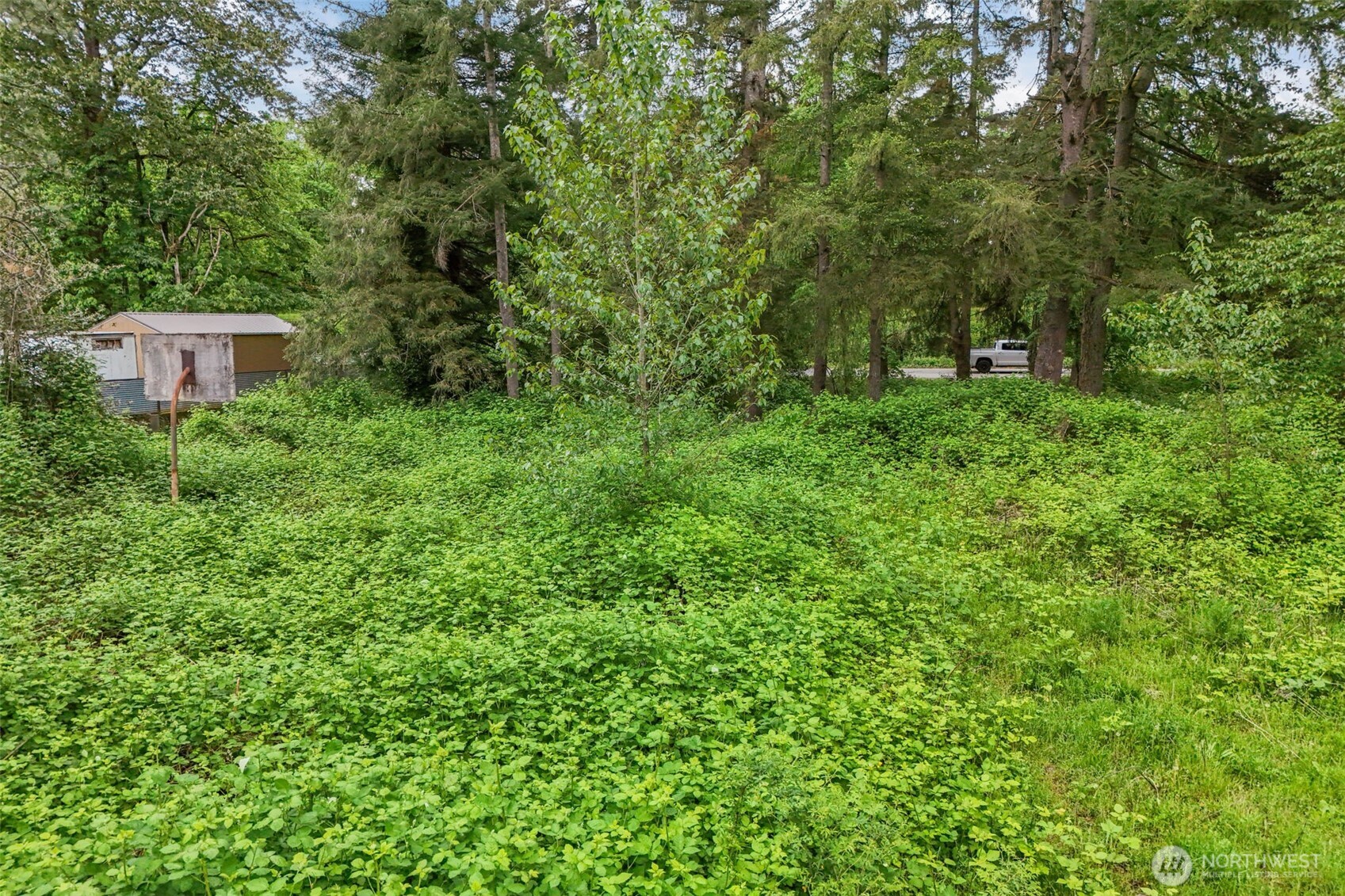 20707 Renton Maple Valley Road SE Maple Valley WA 98038