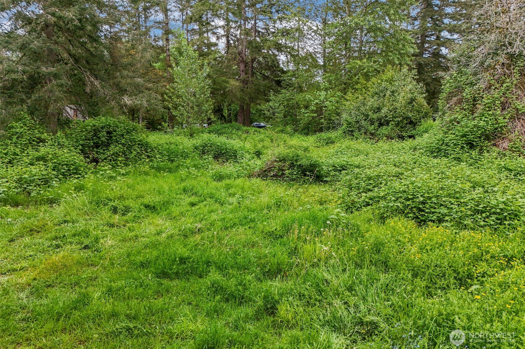 20707 Renton Maple Valley Road SE Maple Valley WA 98038