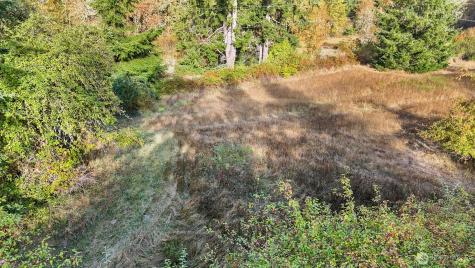14440 Vantine Road SE Tenino WA 98589