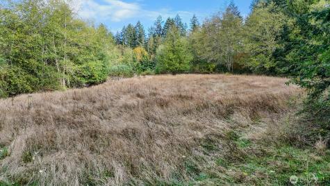 14440 Vantine Road SE Tenino WA 98589