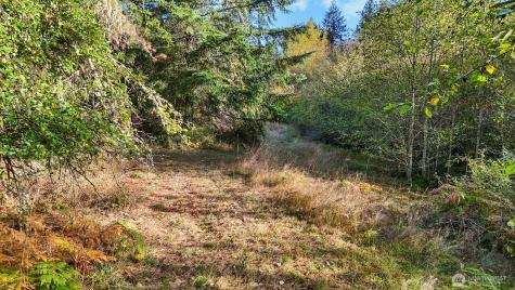 14440 Vantine Road SE Tenino WA 98589