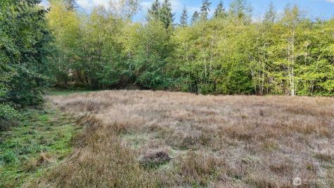 14440 Vantine Road SE Tenino WA 98589