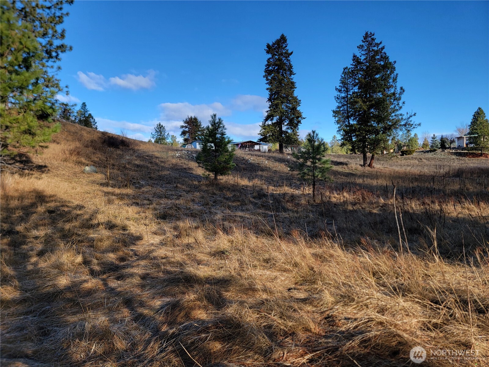 999 Stabenfeldt Drive Republic WA 99166