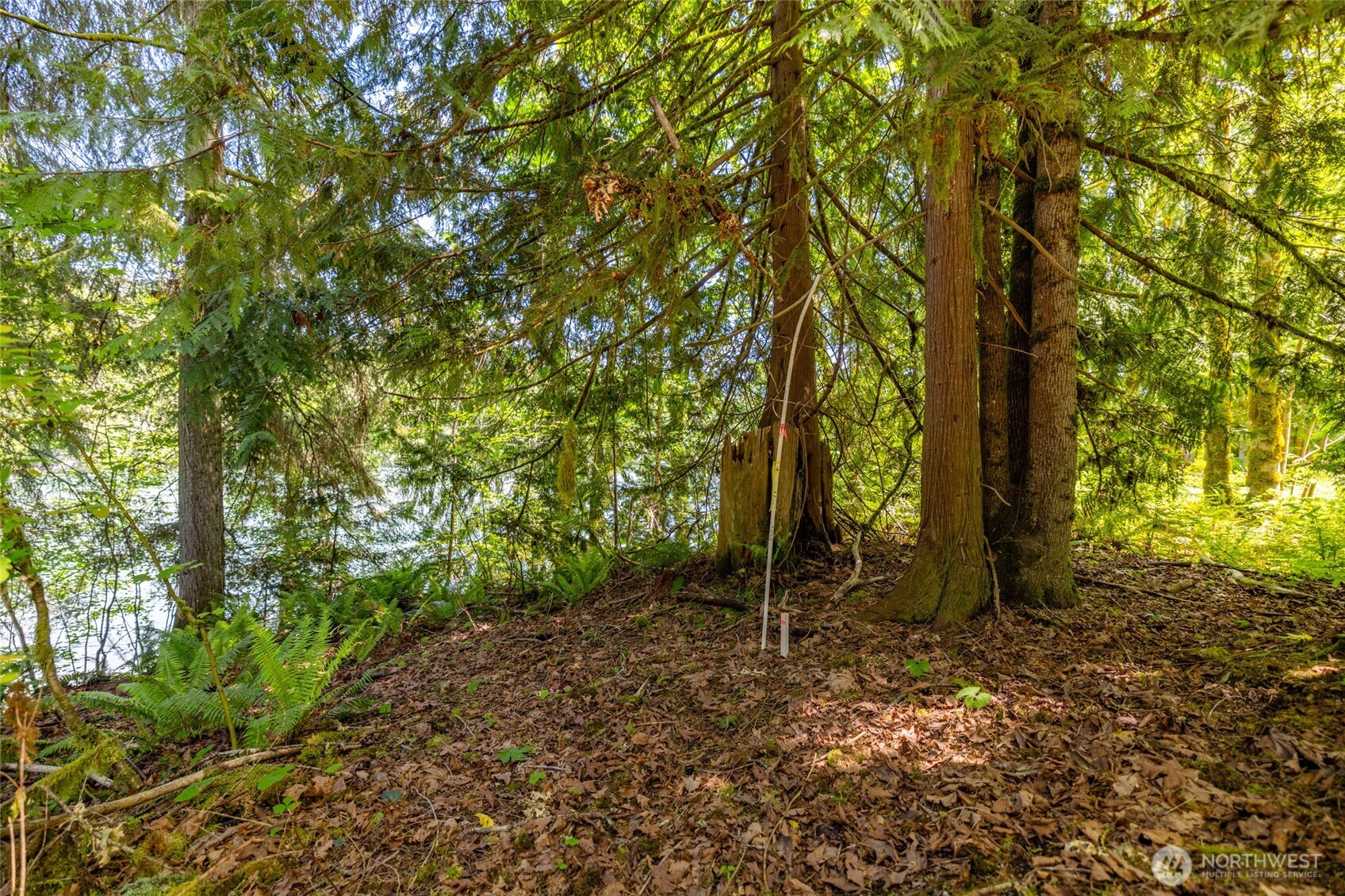 0 Skagit View Drive Concrete WA 98237