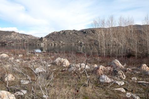 0 Lot 2 Lazy Lightning Long Plat Pateros WA 98846