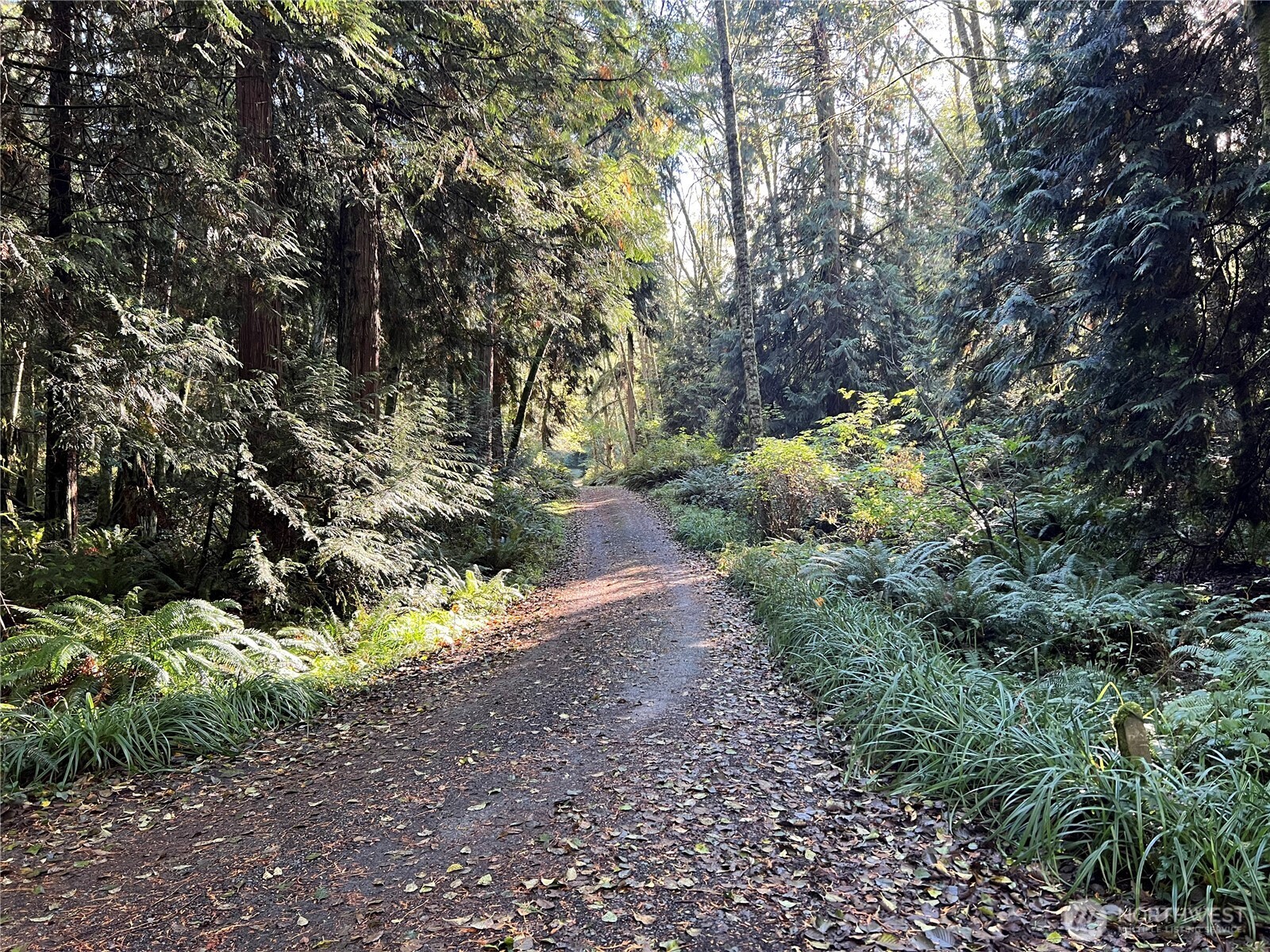 5249 Fallen Leaf Lane Langley WA 98260