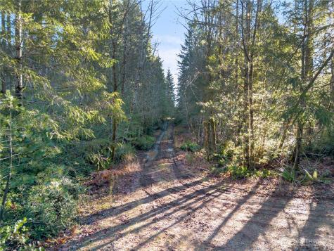 730 NE Black Bear Road Belfair WA 98528