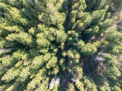 730 NE Black Bear Road Belfair WA 98528