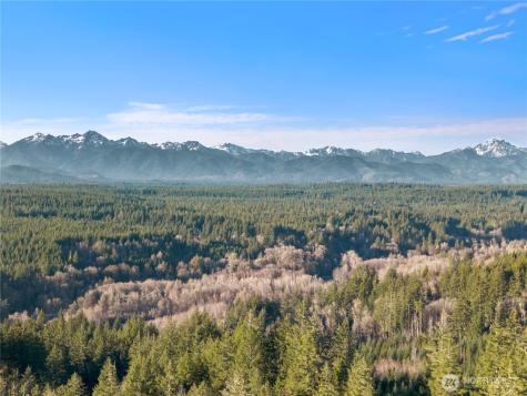 730 NE Black Bear Road Belfair WA 98528