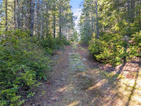 730 NE Black Bear Road Belfair WA 98528