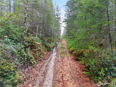 730 NE Black Bear Road Belfair WA 98528