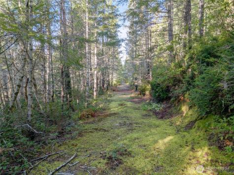 730 NE Black Bear Road Belfair WA 98528