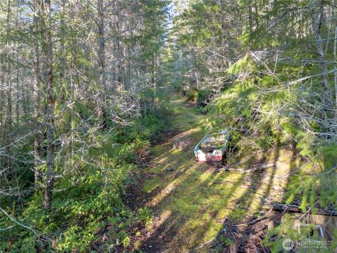 730 NE Black Bear Road Belfair WA 98528