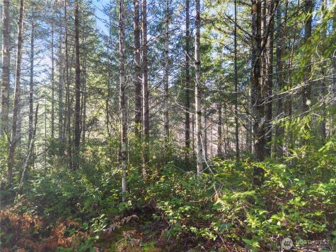 730 NE Black Bear Road Belfair WA 98528