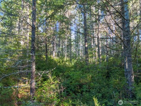 730 NE Black Bear Road Belfair WA 98528