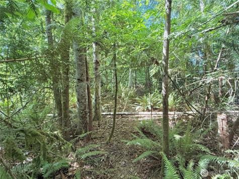 1356 SE Carl Pickel Drive Port Orchard WA 98366