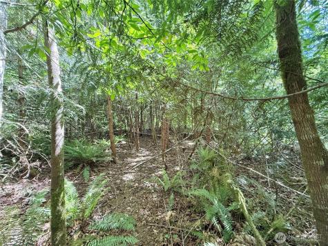 1356 SE Carl Pickel Drive Port Orchard WA 98366