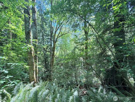 1356 SE Carl Pickel Drive Port Orchard WA 98366