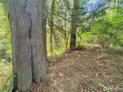 1356 SE Carl Pickel Drive Port Orchard WA 98366