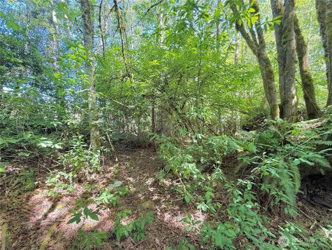 1356 SE Carl Pickel Drive Port Orchard WA 98366