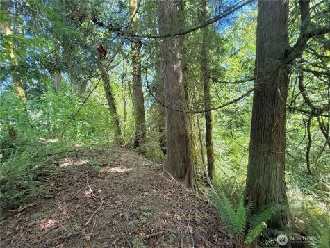 1356 SE Carl Pickel Drive Port Orchard WA 98366